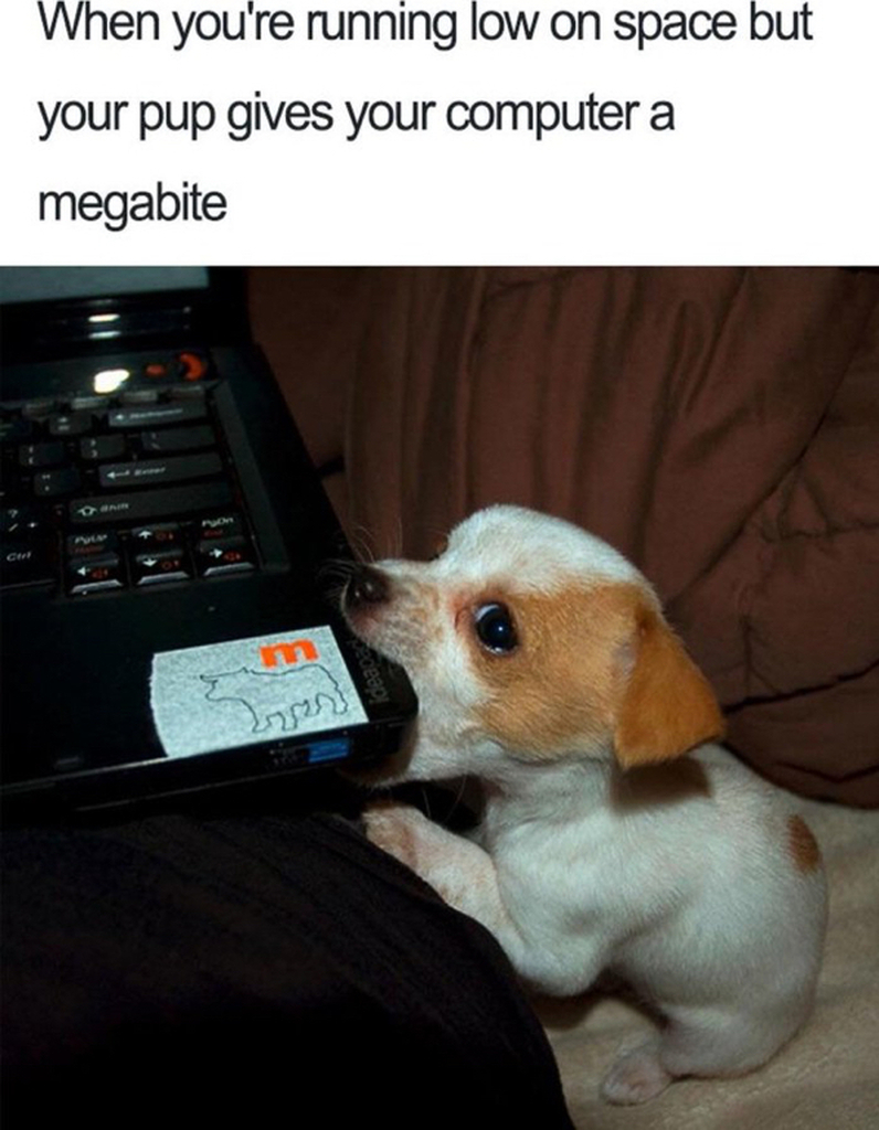 AI caption: a dog is sitting on a laptop with a notepad, comic