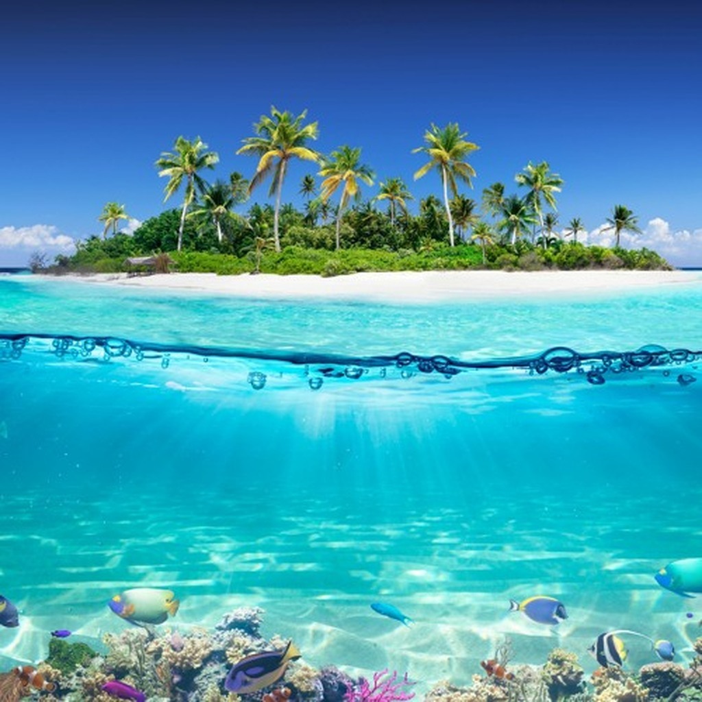 AI caption: underwater view of tropical island with coral reefs and fish, underwater