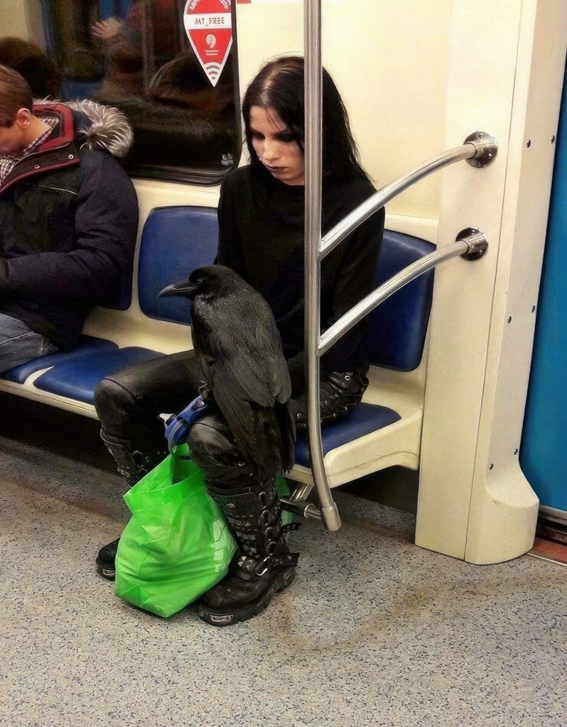 AI caption: a woman sitting on a subway with a crow on her shoulder, black and white