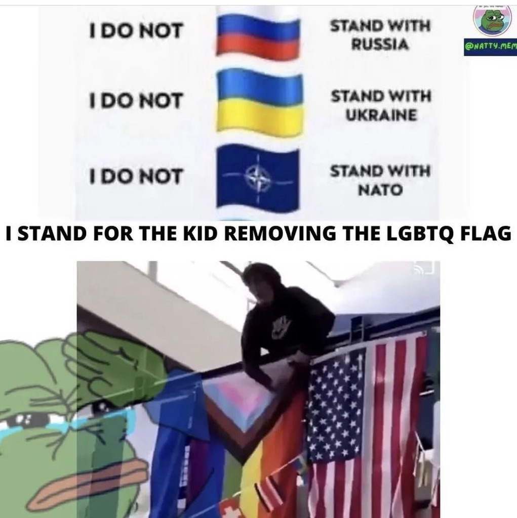 AI caption: a frog with a flag and a flag, meme