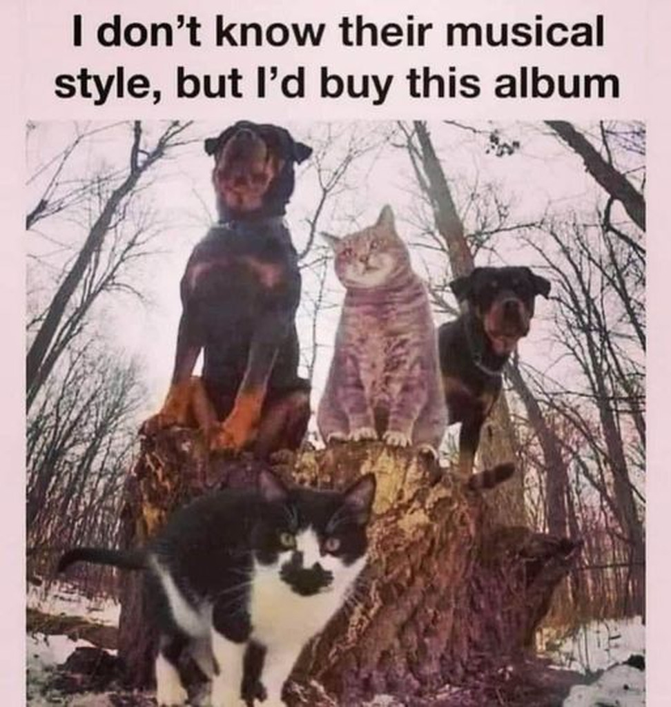 AI caption: a cat and dog sitting on a stump with the caption, i don't know their musical style, but buy this album, it is a meme