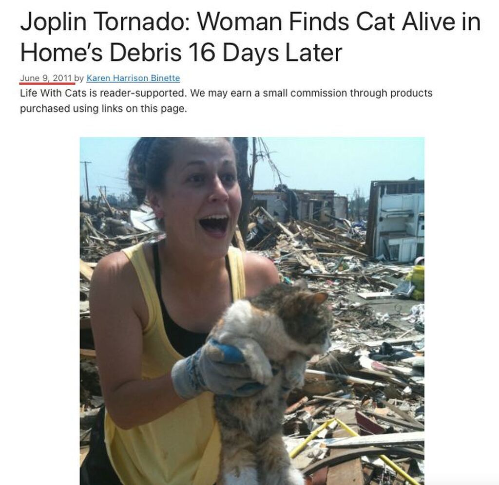 AI caption: the woman is holding a cat