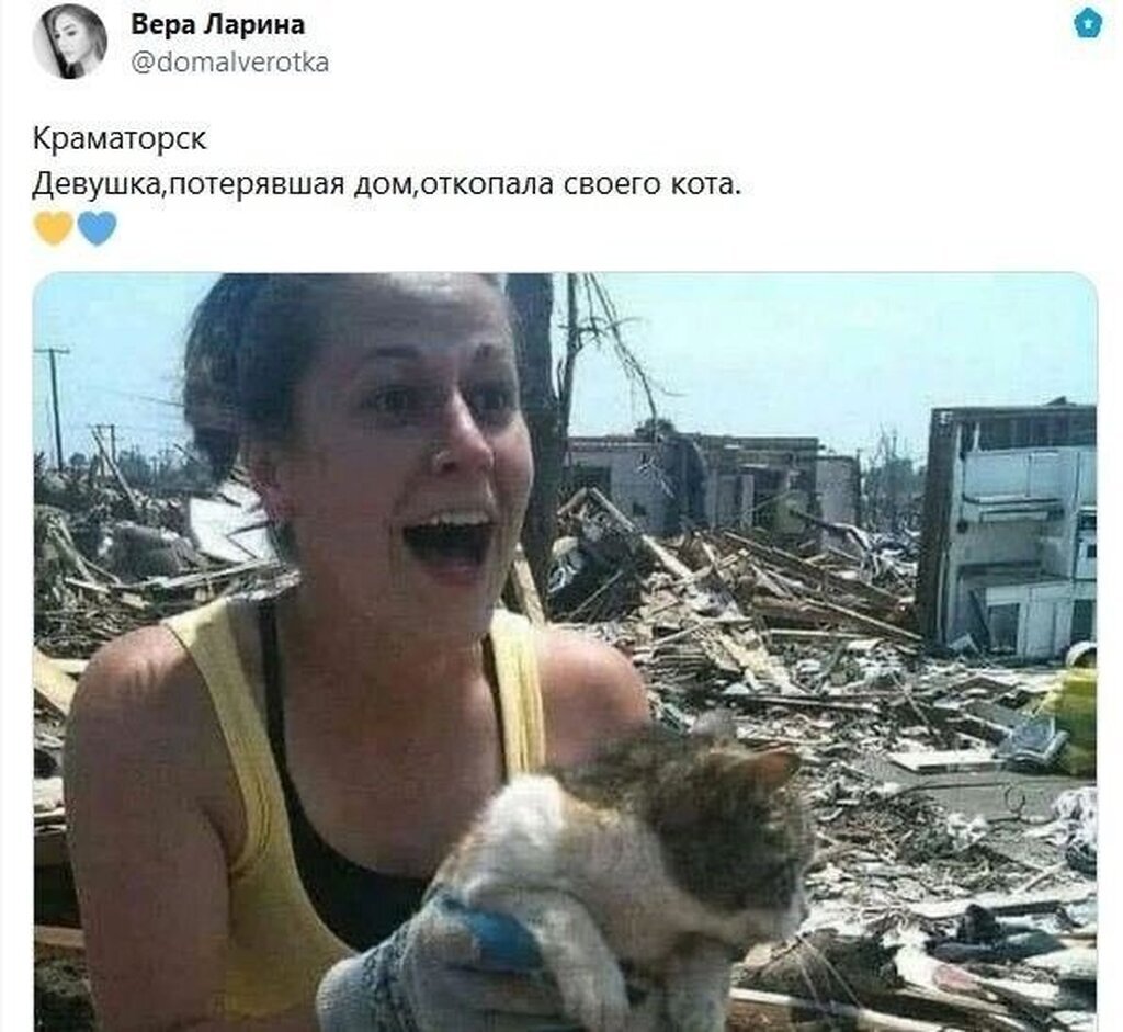 AI caption: a woman holding a cat after a tornado, news a woman holding a cat in front of a pile of rubble