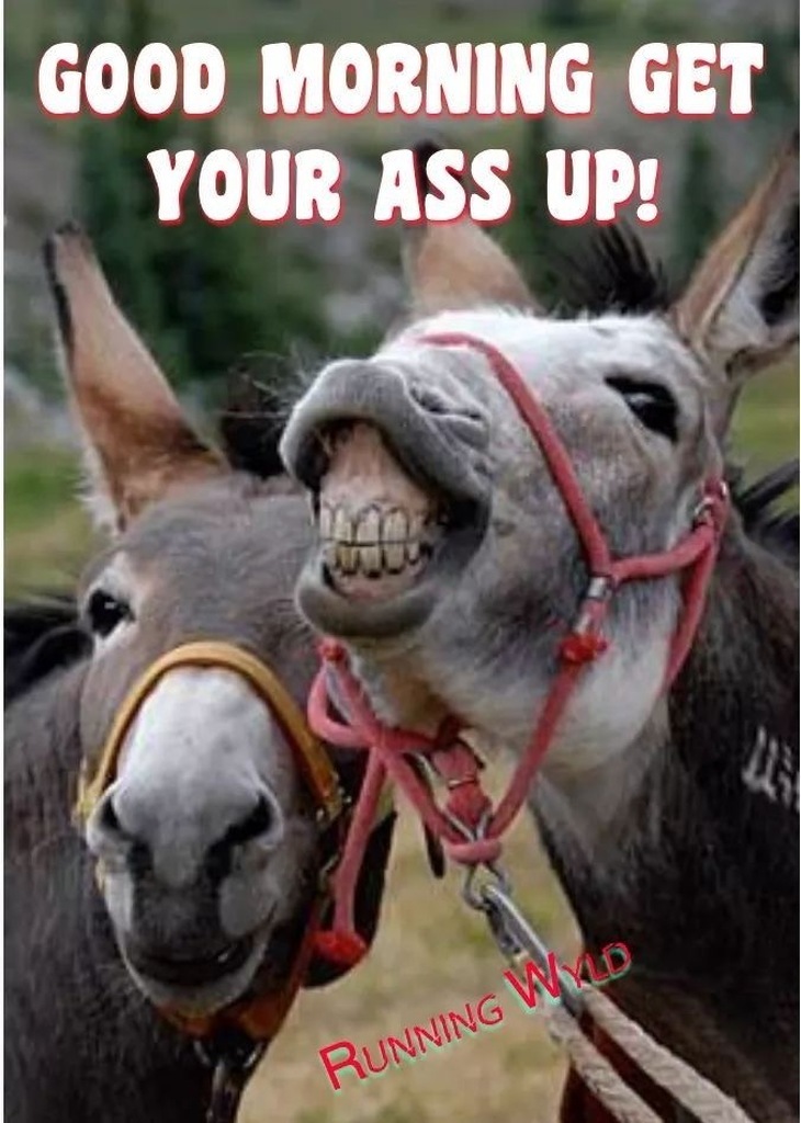 AI caption: two donkeys with the words good morning get your ass up, cartoon