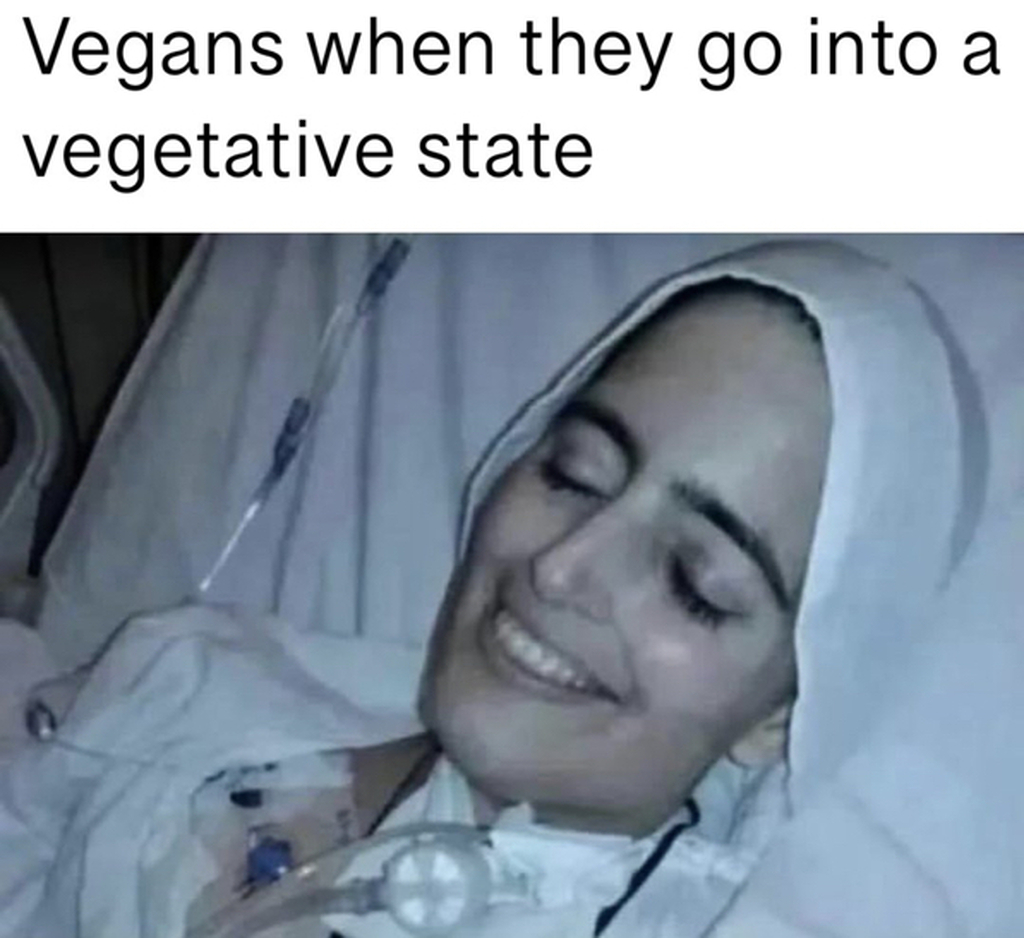 AI caption: a woman in a hospital bed with the caption vegans when they go into a vegetative state, meme