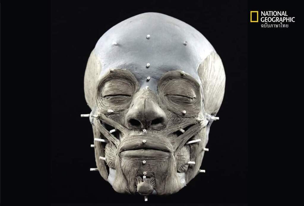 AI caption: a woman in a fur coat is standing on a black background, portrait a woman in a costume holding a spear, the woman is dressed in a costume, ad a hole in the ground with a shovel and a shovel, the image shows a man digging a hole in the ground, black and white the cover of the book 'the human face', the skull is a fake, a black and white image