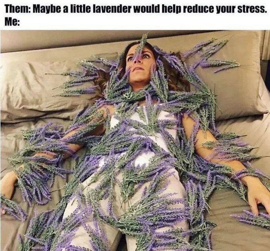 AI caption: a woman is lying on a bed covered in lavender, meme