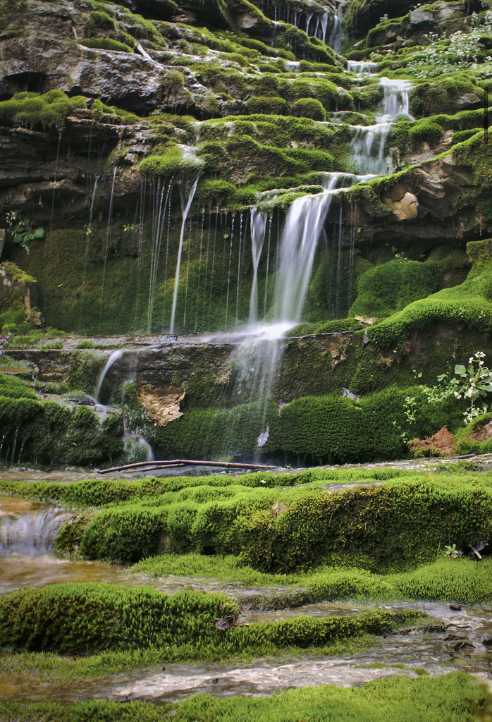 AI caption: a waterfall in a green forest, abstract