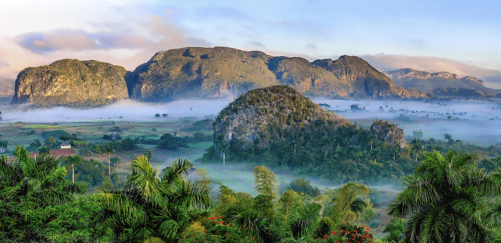 AI caption: a mountain range with mist and trees in the background, landscape