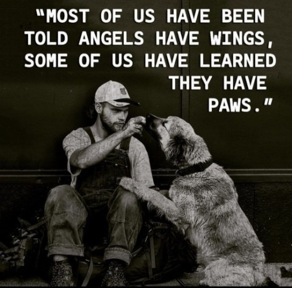 AI caption: a man with a dog and a quote that says most of us have been told angels have wings some of us have learned they have paws, black and white