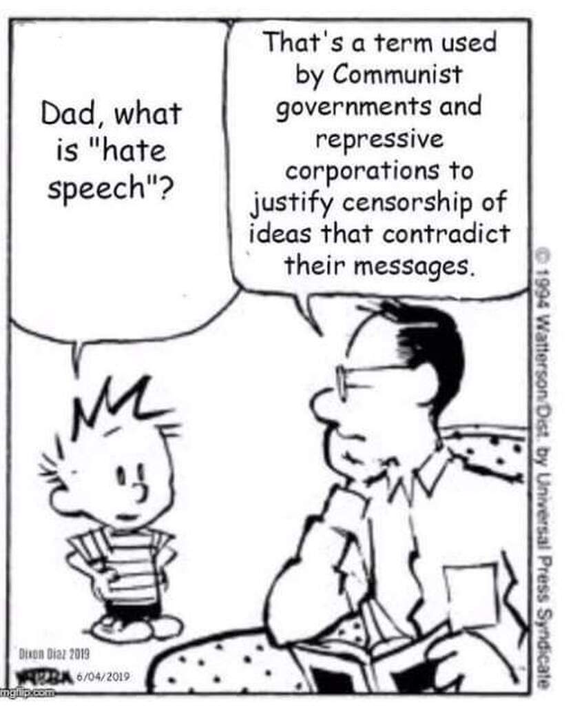 AI caption: a cartoon with a man and a woman talking about government and hate speech, cartoon