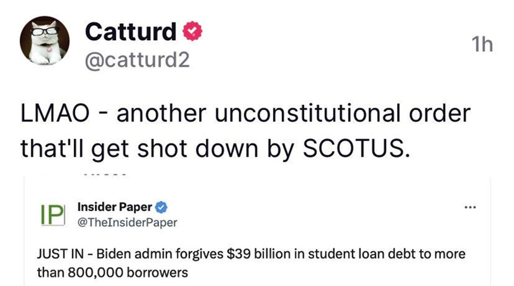 AI caption: a tweet that says, lmao another constitutional order got down by scuct, a tweet