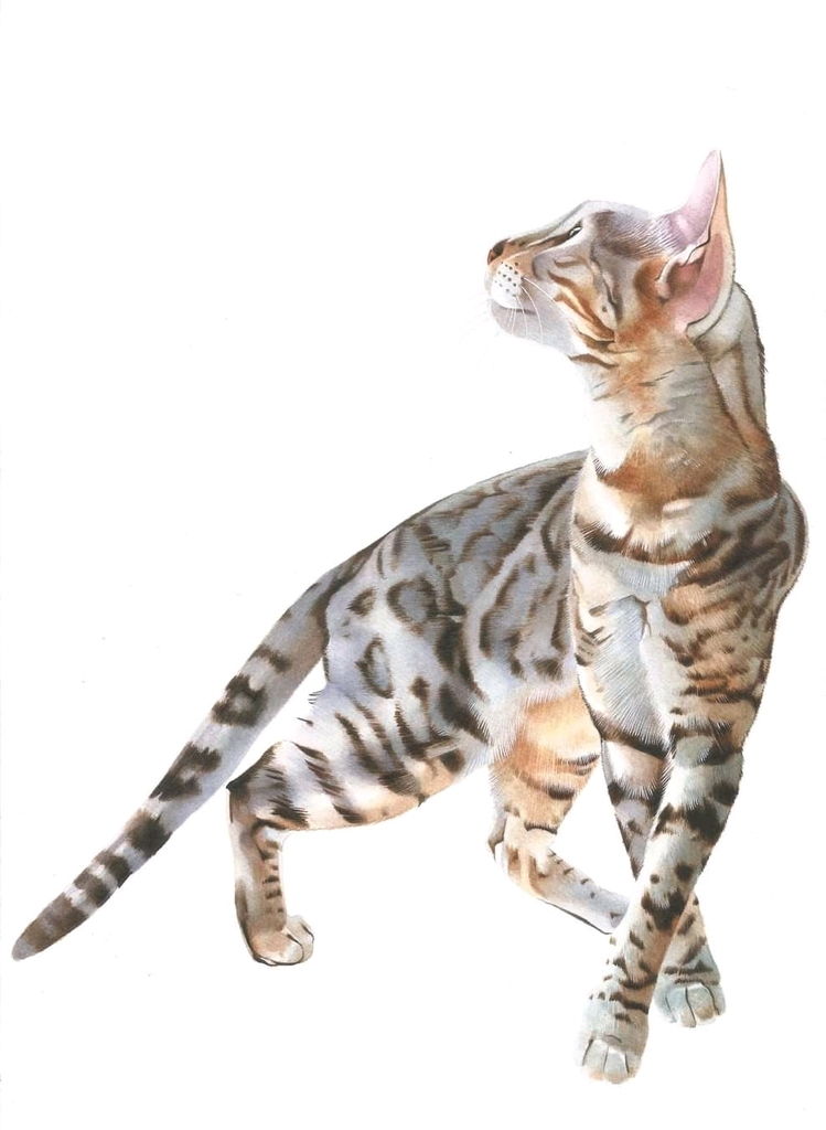 AI caption: bengal cat - watercolor illustration, watercolor