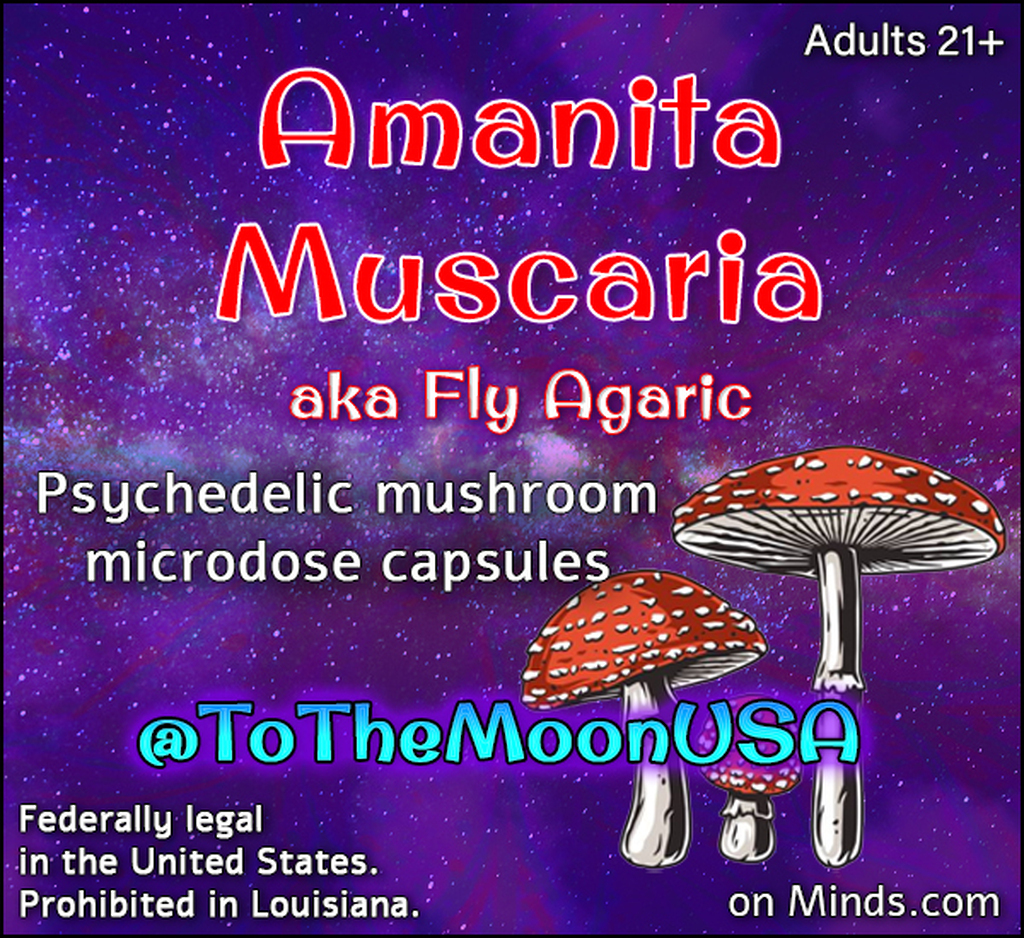 AI caption: amanta mushroom - a fly agric mushroom capsules, poster