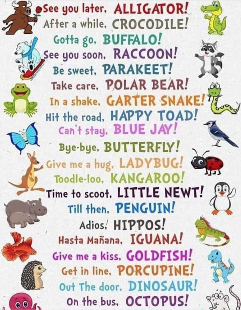 AI caption: a poster with different animals and words, cartoon