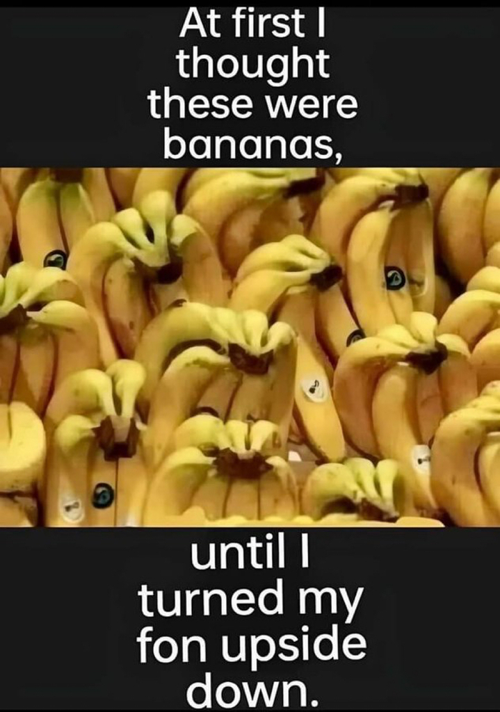 AI caption: a bunch of bananas with the words at first thought these were bananas until i turned fan upside down, cartoon