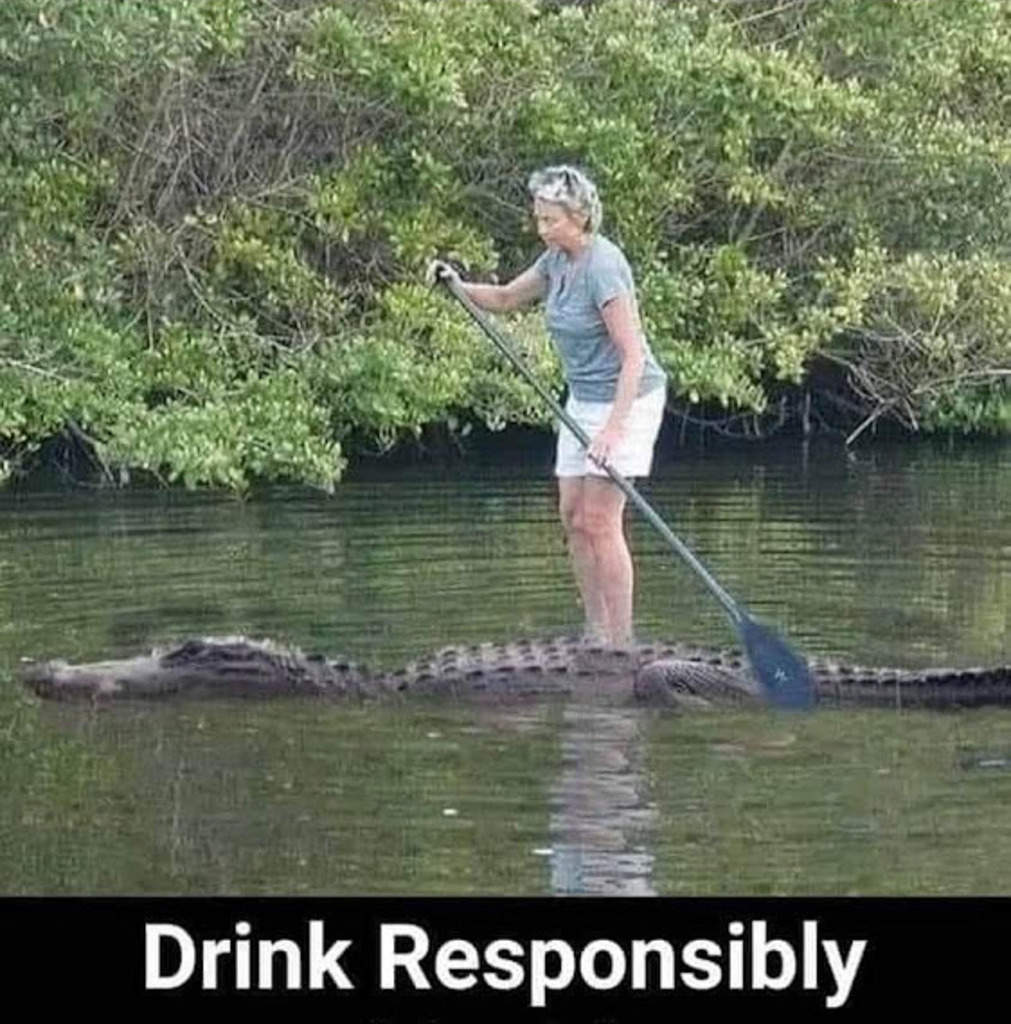 AI caption: a woman paddles on a canoe with an alligator, comic