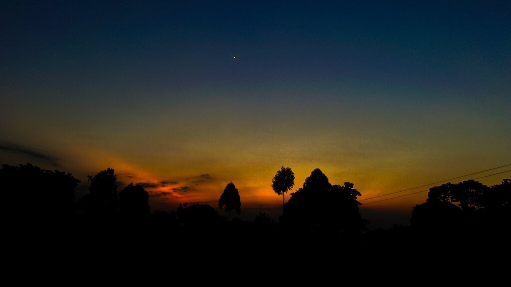 AI caption: a silhouette of a tree and the sun at sunset, silhouette