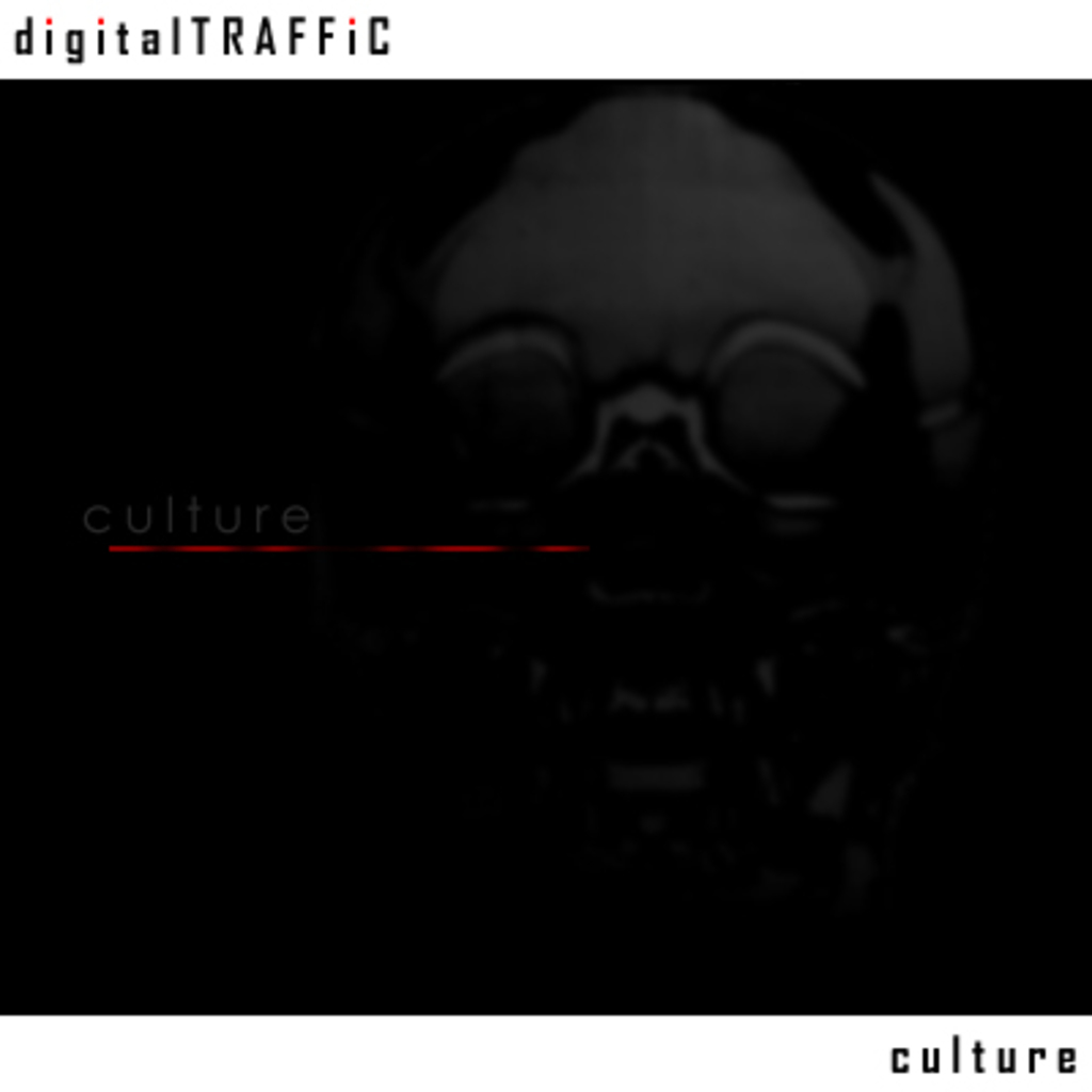digitalTRAFFIC culture album cover
